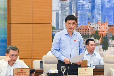 Chủ nhiệm Ủy ban Kinh tế Vũ Hồng Thanh báo cáo tại phiên họp. (Ảnh: DUY LINH)