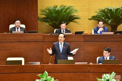 Bộ trưởng Lao động-Thương binh và Xã hội Đào Ngọc Dung trả lời chất vấn của đại biểu Quốc hội. (Ảnh: ĐĂNG KHOA)