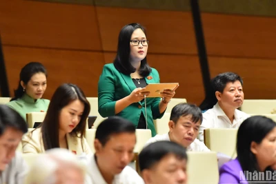 Đại biểu Quốc hội Hà Ánh Phượng phát biểu ý kiến ở hội trường sáng 1/11. (Ảnh: THỦY NGUYÊN)