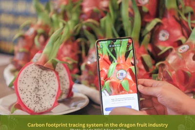 Hệ thống truy xuất "dấu chân carbon" trong ngành hàng thanh long.
