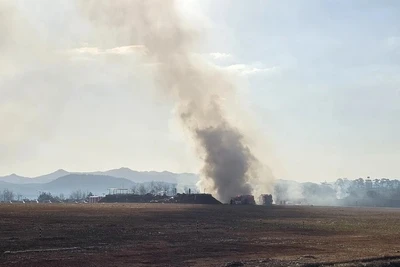 Hiện trường vụ tai nạn máy bay tại Muan, Hàn Quốc, ngày 29/12/2024. (Nguồn: THX/TTXVN) 