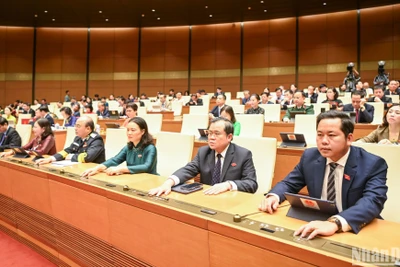 Đại biểu Quốc hội biểu quyết thông qua Luật Bảo hiểm xã hội (sửa đổi). (Ảnh: DUY LINH)