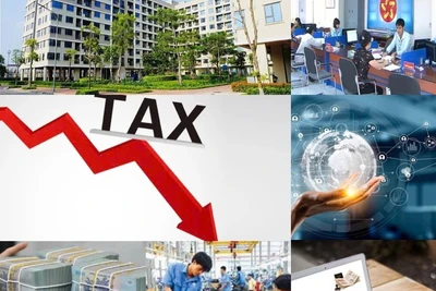 Cắt giảm thủ tục hành chính, cải thiện môi trường kinh doanh, thúc đẩy phát triển kinh tế - xã hội