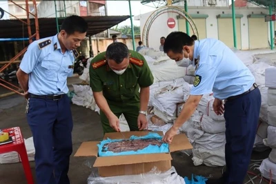 Mở đợt cao điểm đấu tranh ngăn chặn, đẩy lùi tình trạng buôn lậu, gian lận thương mại, hàng giả, xâm phạm quyền sở hữu trí tuệ.