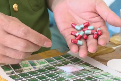 Phó Thủ tướng Chính phủ chỉ đạo xử lý vấn đề thuốc chữa bệnh giả. (Ảnh: VGP)