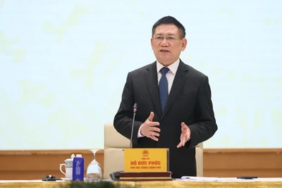 Phó Thủ tướng Chính phủ Hồ Đức Phớc phát biểu ý kiến tại cuộc họp (Ảnh: TRẦN MẠNH/VGP).