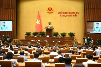 Quang cảnh phiên họp của Quốc hội, sáng 19/6/2024. (Ảnh: DUY LINH)