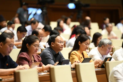 Các đại biểu Quốc hội làm việc tại hội trường, sáng 19/6. (Ảnh: DUY LINH)