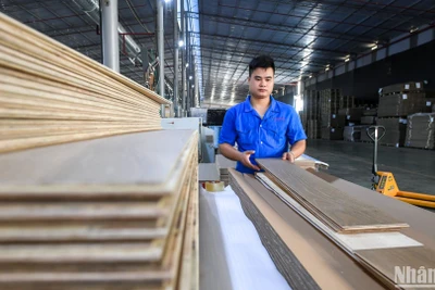 Với tinh thần xóa bỏ định kiến, tạo điều kiện đột phá, Nghị quyết 68 là lời khẳng định mạnh mẽ của Đảng về vai trò then chốt, động lực quan trọng hàng đầu của khu vực kinh tế tư nhân trong tiến trình phát triển đất nước. (Ảnh minh họa: THÀNH ĐẠT) 