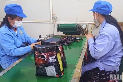Đóng gói cà-phê xuất khẩu tại Công ty trách nhiệm hữu hạn một thành viên Sài Gòn-Cà-phê, thị trấn Tà Lùng, huyện Quảng Hòa, tỉnh Cao Bằng. (Ảnh minh họa: MINH TUẤN)