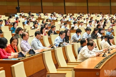 Các đại biểu dự phiên họp. (Ảnh: BÙI GIANG) 