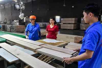 Trong bối cảnh kinh tế còn nhiều khó khăn, rất cần các biện pháp quyết liệt, hiệu quả hơn nhằm hỗ trợ người dân, doanh nghiệp. (Ảnh minh họa: THÀNH ĐẠT)