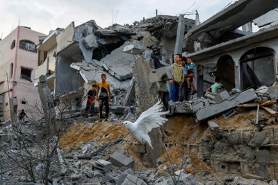 Chim bồ câu bay qua đống đổ nát của những ngôi nhà bị phá hủy trong các cuộc không kích của Israel, ở Khan Younis, phía nam dải Gaza, ngày 11/10/2023. (Ảnh: Reuters)