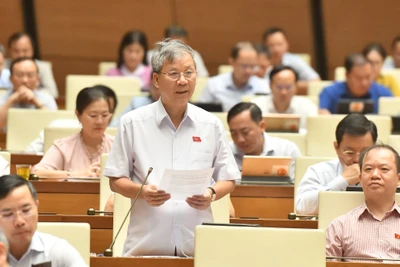 Đại biểu Nguyễn Anh Trí (Hà Nội) phát biểu. (Ảnh: ĐĂNG KHOA) 