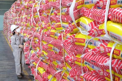 Sản xuất phân bón tại Tổng Công ty Phân bón và Hóa chất Dầu khí (PVFCCo).