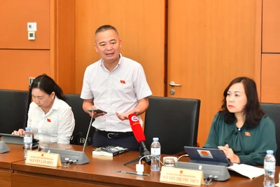 Đại biểu Nguyễn Lân Hiếu (Bình Định) phát biểu. (Ảnh: THỦY NGUYÊN)