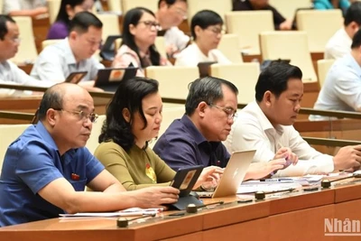 Các đại biểu làm việc tại hội trường. (Ảnh: BÙI GIANG)