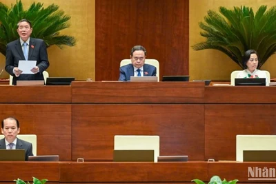 Phó Chủ tịch Quốc hội Nguyễn Đức Hải điều hành phiên họp. (Ảnh: BÙI GIANG) 