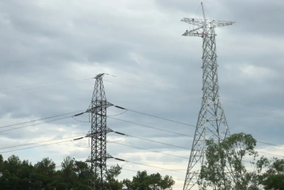 Thi công kéo dây trên cao tại vị trí cột trên địa bàn huyện Nam Đàn, tỉnh Nghệ An.