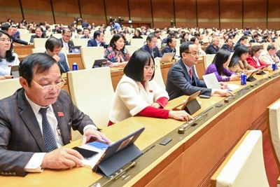 Các đại biểu tiến hành biểu quyết. (Ảnh: DUY LINH) 