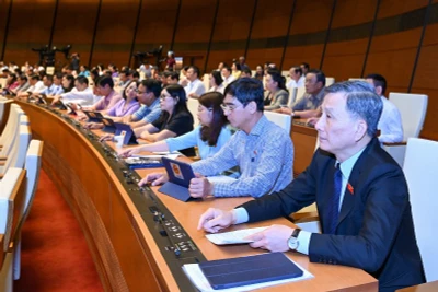 Các đại biểu Quốc hội biểu quyết thông qua Luật Hợp tác xã (sửa đổi). (Ảnh: DUY LINH)