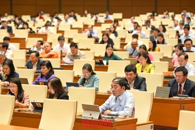 Các đại biểu Quốc hội dự phiên họp sáng 1/11. (Ảnh: DUY LINH)