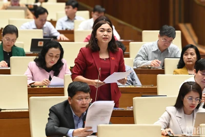 Đại biểu Đặng Bích Ngọc - Đoàn đại biểu Quốc hội tỉnh Hòa Bình phát biểu. (Ảnh: THỦY NGUYÊN) 