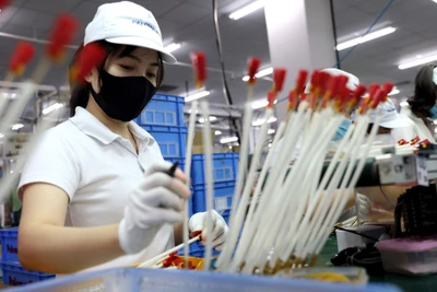 Việt Nam vẫn là điểm đến hấp dẫn với doanh nghiệp nước ngoài. (Ảnh minh họa: TTXVN)