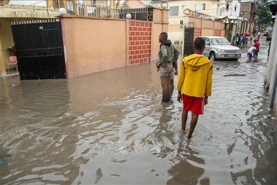 Cảnh ngập lụt sau mưa lớn tại Kinshasa, CHDC Congo. (Ảnh tư liệu: AFP/TTXVN)