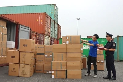 Công chức Cục Hải quan Hải Phòng kiểm tra thực tế hàng hóa nhập khẩu. (Ảnh minh họa: haiquanonline.com.vn) 