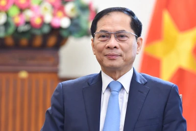 Phó Thủ tướng Chính phủ, Bộ trưởng Ngoại giao Bùi Thanh Sơn. (Ảnh: Báo Thế giới và Việt Nam) 