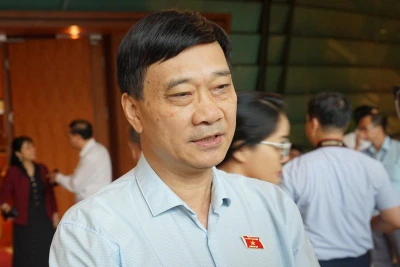 Cần cơ chế, chính sách đặc thù để Thành phố Hồ Chí Minh phát huy vai trò động lực phát triển