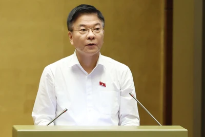 Phó Thủ tướng Chính phủ Lê Thành Long trình bày Tờ trình. (Ảnh: DUY LINH) 