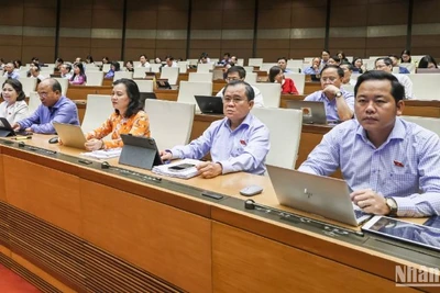 Các đại biểu Quốc hội làm việc tại hội trường. (Ảnh: DUY LINH)