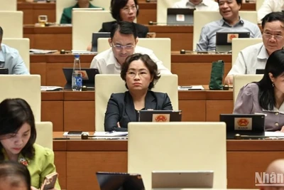 Các đại biểu Quốc hội làm việc tại hội trường, sáng 16/6/2025. (Ảnh: BÙI GIANG) 