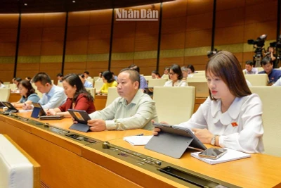 Các đại biểu Quốc hội dự phiên họp chiều 26/5. (Ảnh: DUY LINH)