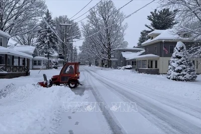 Tuyết phủ trắng xóa. (Ảnh minh họa: AP/TTXVN)