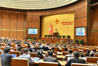 Toàn cảnh phiên họp của Quốc hội sáng 22/5. (Ảnh: ĐĂNG KHOA) 