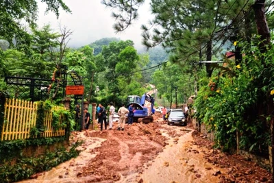 Khu vực sạt lở đất. 