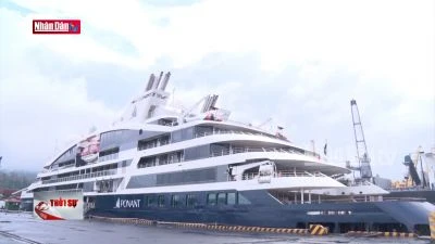 Đà Nẵng: Khách du lịch tàu biển gia tăng