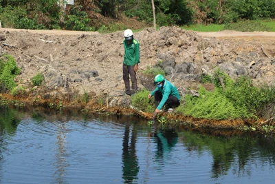 Hàng nghìn cử tri hai tỉnh Long An và Tiền Giang kêu cứu vì nguồn nước ngọt trên các kênh thủy lợi đang bị Nhà máy sản xuất phân bón hữu cơ hủy hoại. 