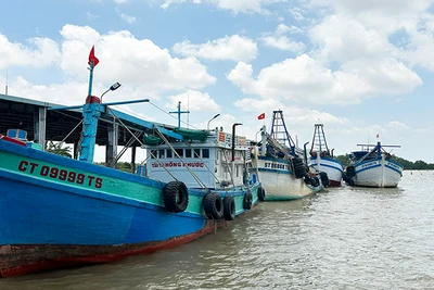 100% tàu cá Sóc Trăng đã lắp đặt thiết bị giám sát hành trình