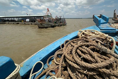 Tàu cá hoạt động tại cảng cá Trần Đề.