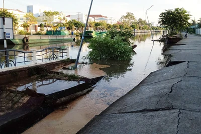 Hiện trường sạt lở nhấn chìm 50m bờ kè bê-tông xuống kênh tại thị trấn Kế Sách (Sóc Trăng).