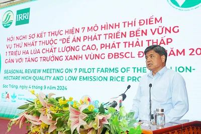 Thứ trưởng Trần Thanh Nam phát biểu tại hội nghị.