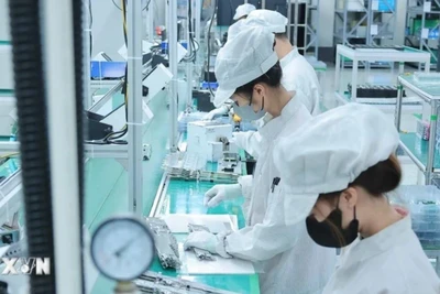 Ảnh minh họa. (Ảnh: Hoàng Hiếu/TTXVN)