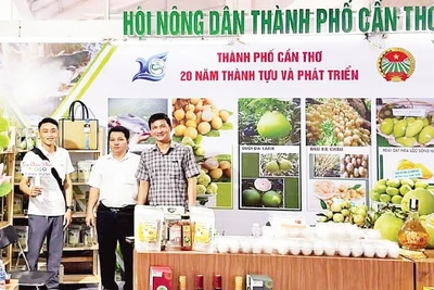 Gian hàng khởi nghiệp của thanh niên tại một sự kiện ở thành phố Cần Thơ.