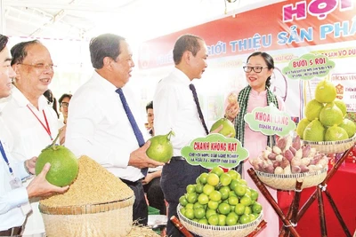 Hội chợ trưng bày sản phẩm OCOP tại Vĩnh Long.