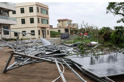 Hệ thống điện mặt trời bị đổ sập ở thành phố Văn Xương, tỉnh Hải Nam. (Ảnh: Tân Hoa Xã)