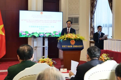 Phó Thủ tướng, Bộ trưởng Ngoại giao Bùi Thanh Sơn phát biểu tại buổi gặp mặt.